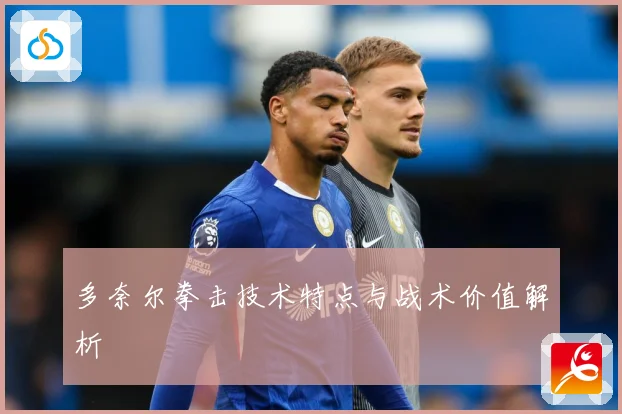 多奈尔拳击技术特点与战术价值解析