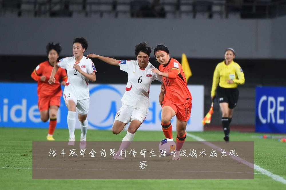 格斗冠军舍甫琴科传奇生涯与技战术成长观察