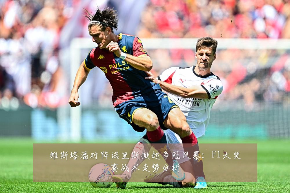 维斯塔潘对阵诺里斯掀起争冠风暴：F1大奖赛战术走势分析